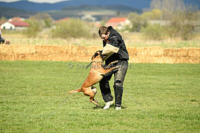 Anouka vom Mittelpunkt
