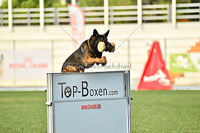 Antey Hitzig Hund
