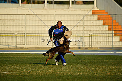 Antey Hitzig Hund