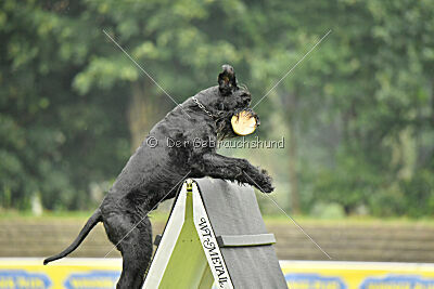 Anton vom Kickersberg