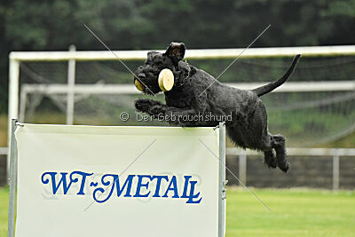Anton vom Kickersberg