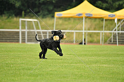 Anton vom Kickersberg