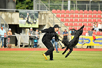 Anton vom Kickersberg