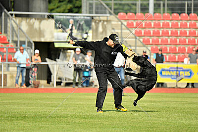 Anton vom Kickersberg