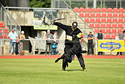 Anton vom Kickersberg