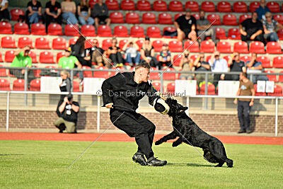 Anton vom Kickersberg