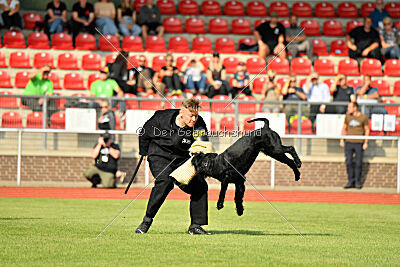Anton vom Kickersberg