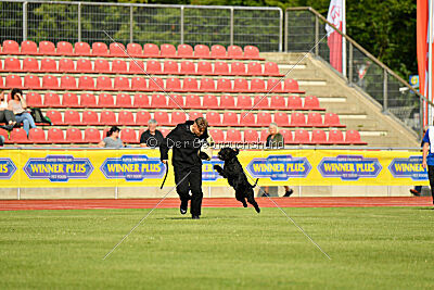 Anton vom Kickersberg