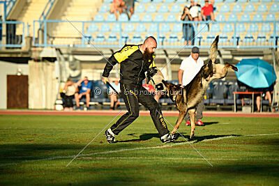 Anton von der lichten Tanne