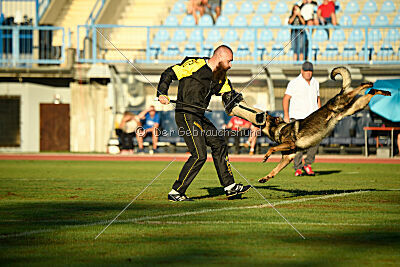Anton von der lichten Tanne