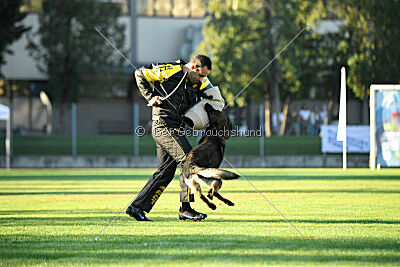 Anton von der lichten Tanne