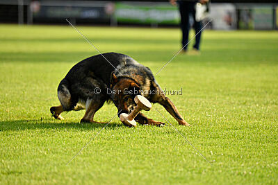 Anton von der lichten Tanne