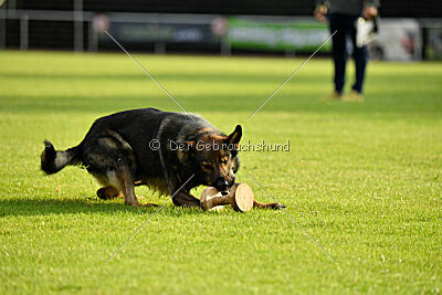 Anton von der lichten Tanne