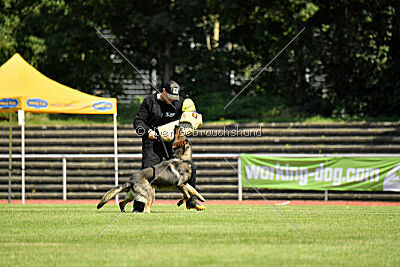 Anton von der lichten Tanne