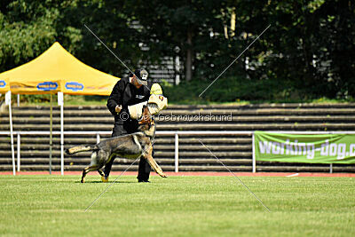 Anton von der lichten Tanne