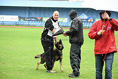 Anton von der lichten Tanne