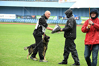 Anton von der lichten Tanne