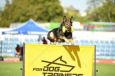 Anton von der lichten Tanne