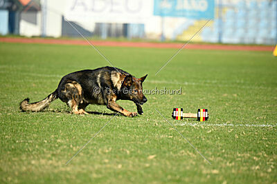 Anton von der lichten Tanne