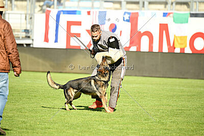 Anton von der lichten Tanne