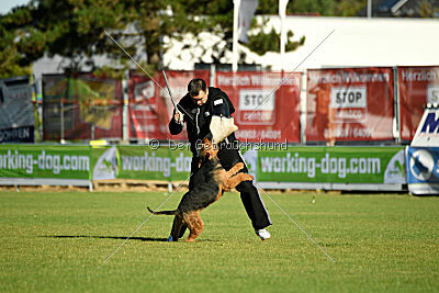 Antrax von Anna Maria