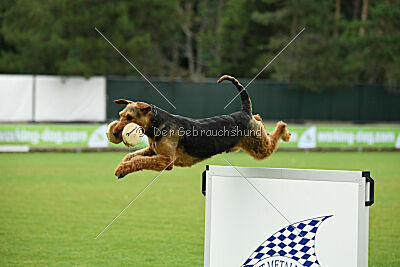 Antrax von Anna Maria