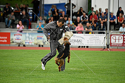 Antrax von Anna Maria