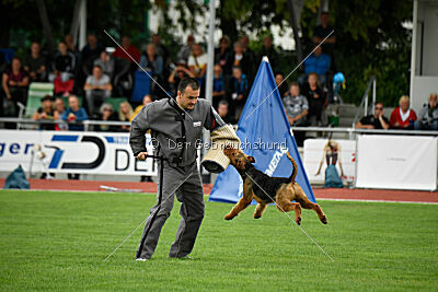 Antrax von Anna Maria