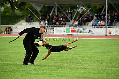 Antrax von Anna Maria