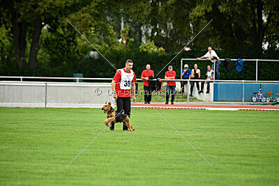 Antrax von Anna Maria