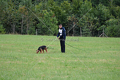 Antrax von Anna Maria