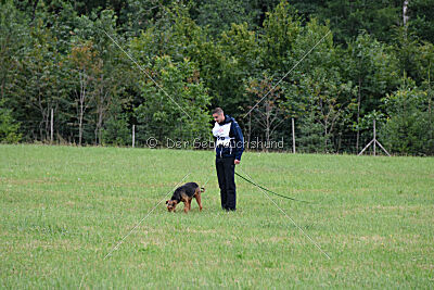 Antrax von Anna Maria