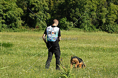 Antrax von Anna Maria