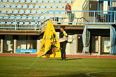 Antrax von Anna Maria