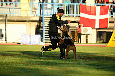 Antrax von Anna Maria