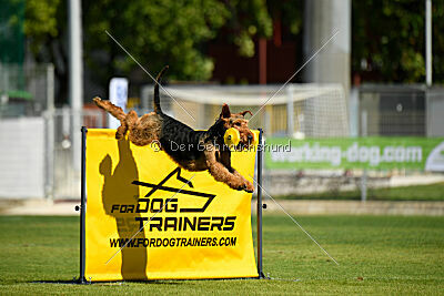 Antrax von Anna Maria