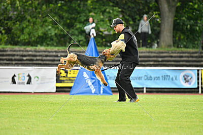 Antrax von Anna Maria