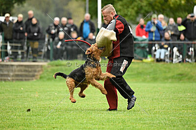 Antrax von Anna Maria