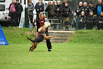 Antrax von Anna Maria