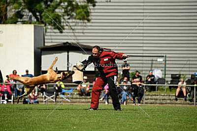 Apollo Airport Hannover