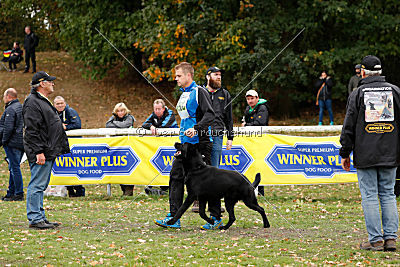 Apollo vom Schloß Solitude