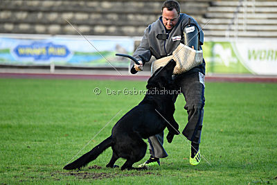 Apollo vom Schloß Solitude