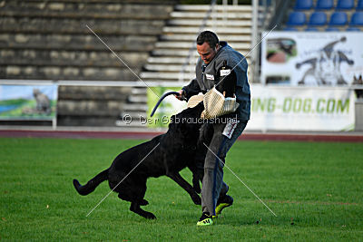 Apollo vom Schloß Solitude