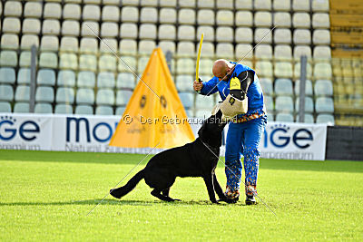 Apollo vom Schloß Solitude