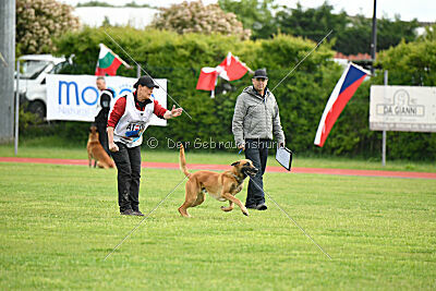 Appetitio Grande Occultatum Libera