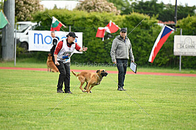 Appetitio Grande Occultatum Libera