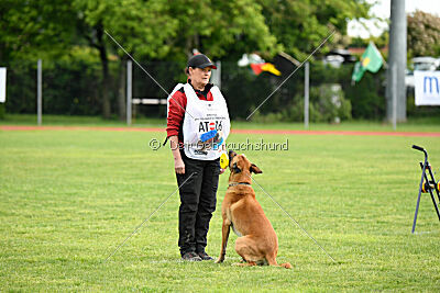 Appetitio Grande Occultatum Libera