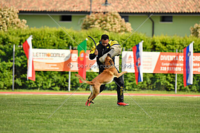 Appetitio Grande Occultatum Libera