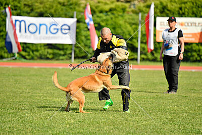 Appetitio Grande Occultatum Libera