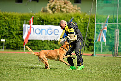 Appetitio Grande Occultatum Libera